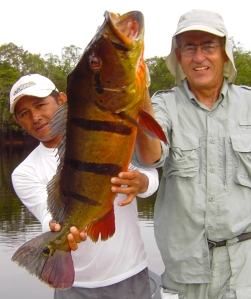 The right gear allows productive monster peacock bass fishing.